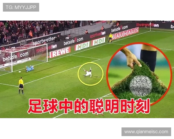南京排球队灵活性对比分析及其对比赛表现的影响探讨 南京排球队灵活性对比分析及其对比赛表现的影响探讨