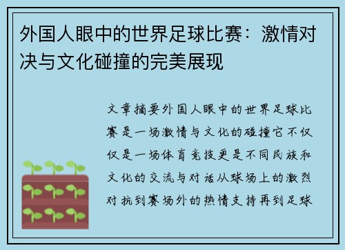 外国人眼中的世界足球比赛：激情对决与文化碰撞的完美展现